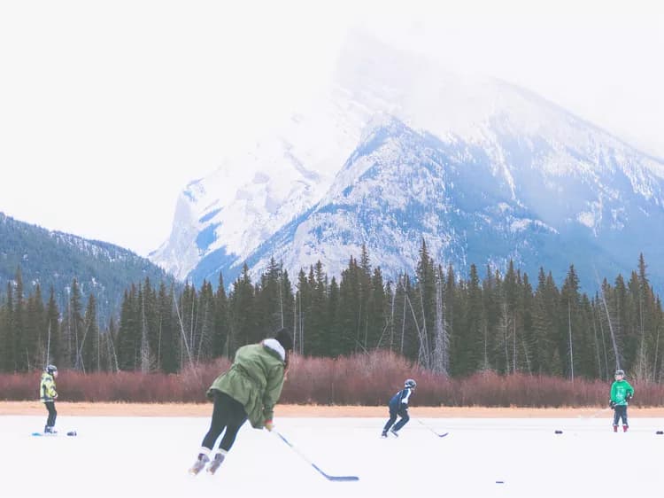 Cognitive And Psychosocial Function Of Retired Professional Hockey Players