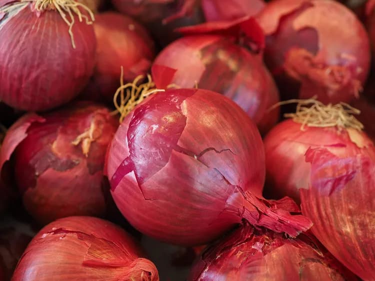 What Are The Health Benefits Of Red Onions?