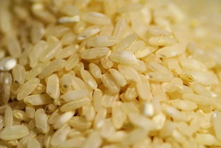 Infants Who Ate Rice, Rice Products Had Higher Urinary Concentrations Of Arsenic