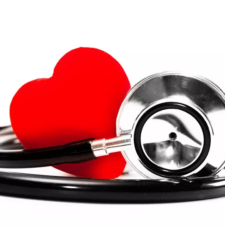 Drug That Improves Blood Flow In Damaged Heart Might Also Fight Breast Cancer