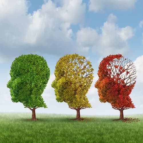 Gene Mutation May Speed Up Memory Loss In Alzheimer's Disease