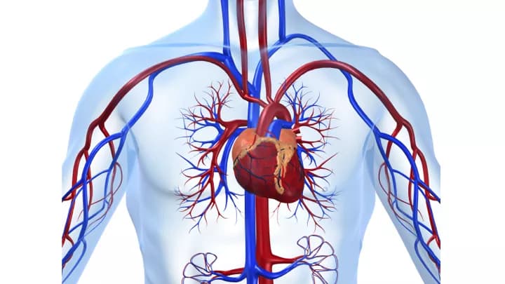 Reducing Recurrence Of Heart Attacks, Death In Patients With Cardiovascular Disease