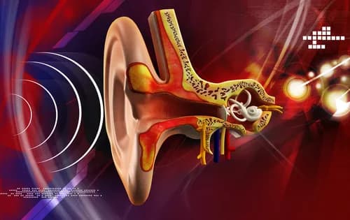 New Study Linking Exposure To Loud Sounds To Hearing Loss
