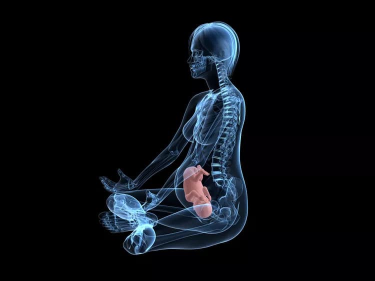 Does Maternal Diabetes During Pregnancy Predispose Offspring to Autism?