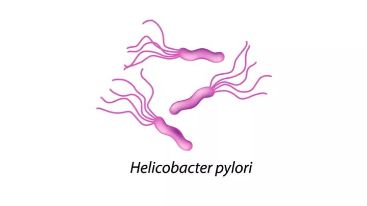 Helicobacter Pylori Infection