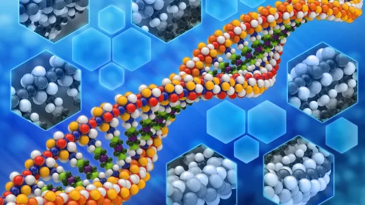 Study Finds Patterns Of Biomarkers Predict How Well People Age, Risks Of Age-Related Disease