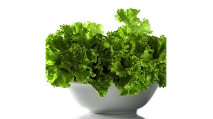 Even Mildly Excessive Body Iron Stores Increase The Risk Of Type 2 Diabetes