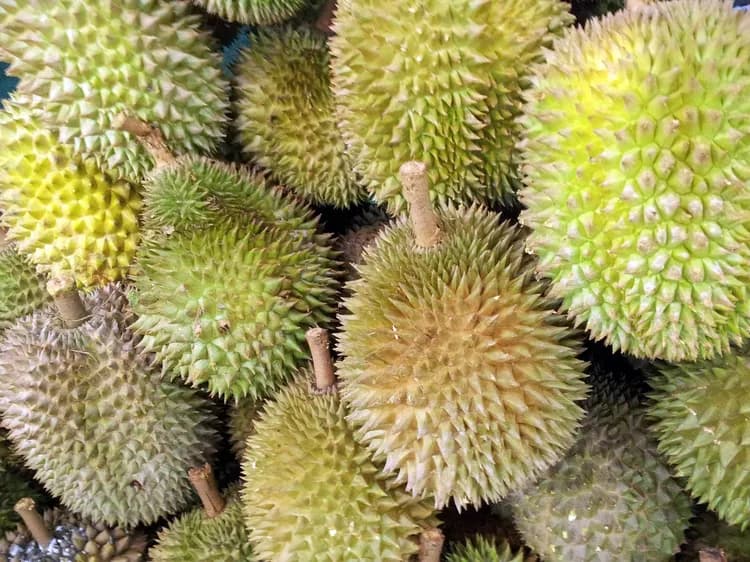 7 Healthy Facts Of Durian
