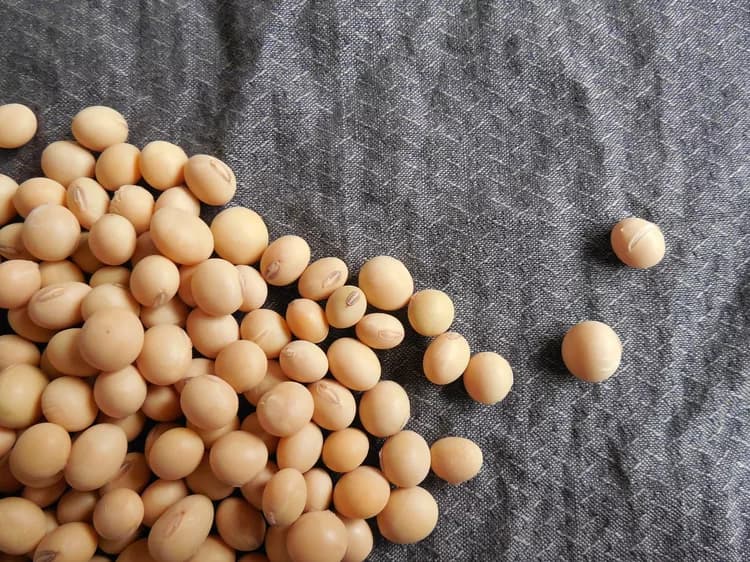 Understanding When Eating Soy Might Help Or Harm In Breast Cancer Treatment
