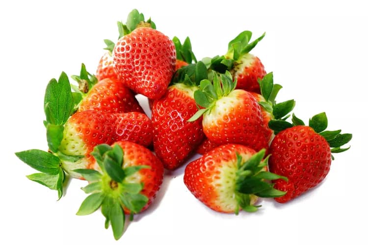 Allergy Potential Of Strawberries And Tomatoes Depends On The Variety