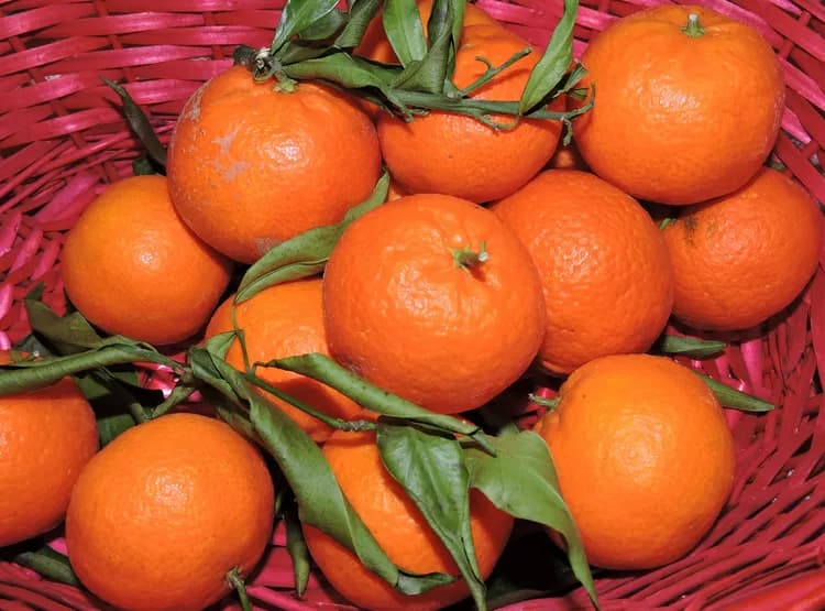 7 Health Benefits Of Oranges