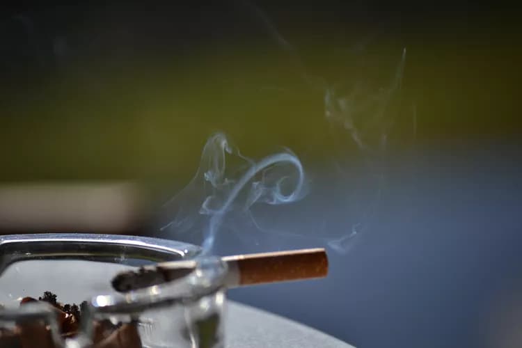 Second-Hand Smoke Increases Fatness, Hinders Cognition In Children