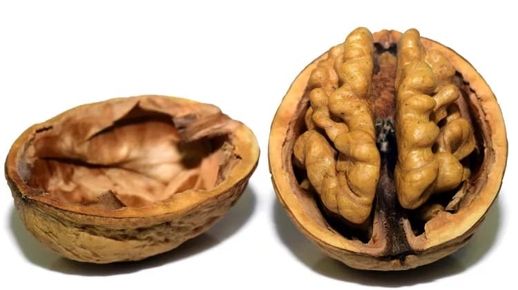 7 Health Benefits Of Walnuts