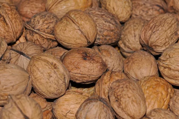 What Are The Health Benefits Of Walnuts?