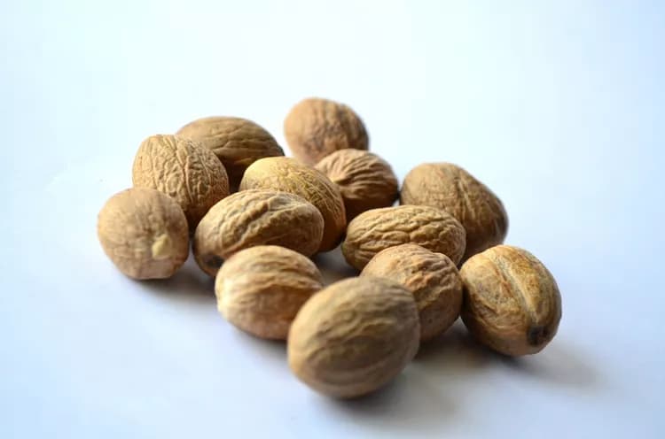 Walnuts May Promote Health By Changing Gut Bacteria