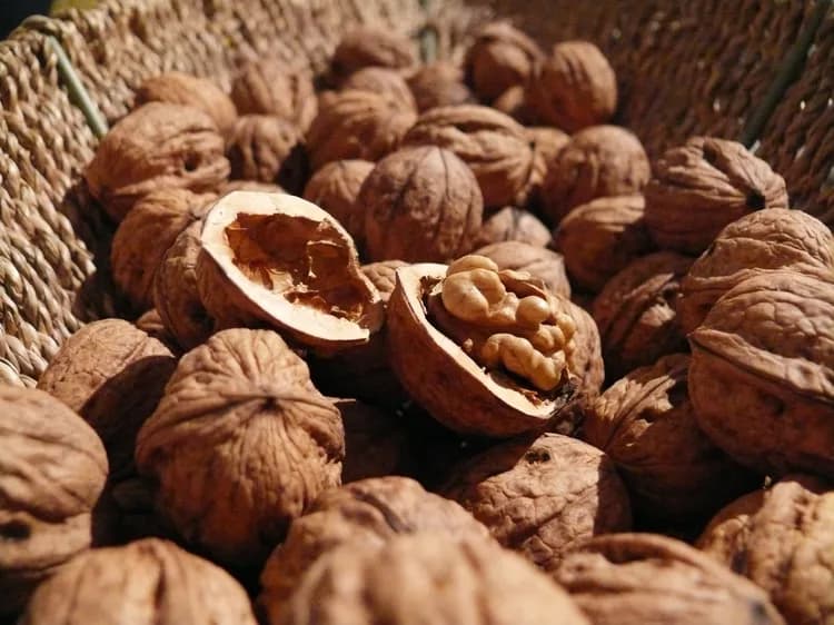 Frequent Nut Consumption Associated With Less Inflammation