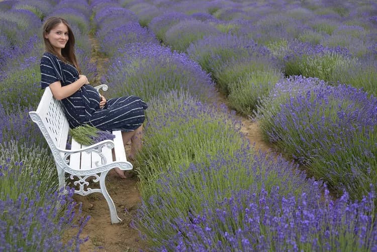 Rúben Gál, Pixabay